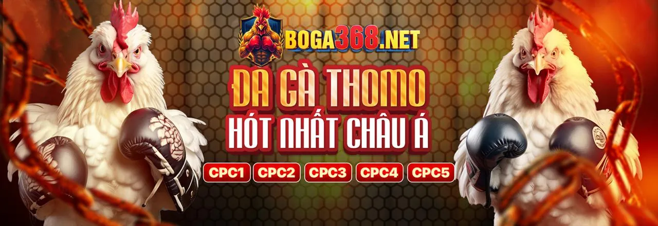 Giao diện cá cược đá gà 2233win