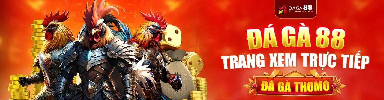 Hướng dẫn cá cược trực tuyến cho người mới tại 2233win nhà cái